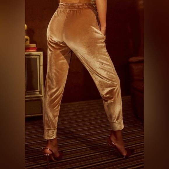 Fabletics 3X Velvet Joggers - Picture 2 of 10